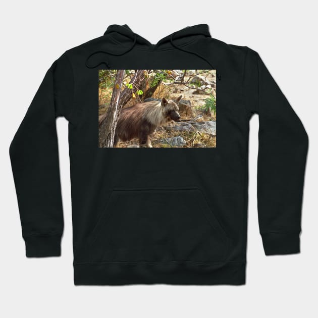 Brown Hyena, South Africa Hoodie by GrahamCSmith